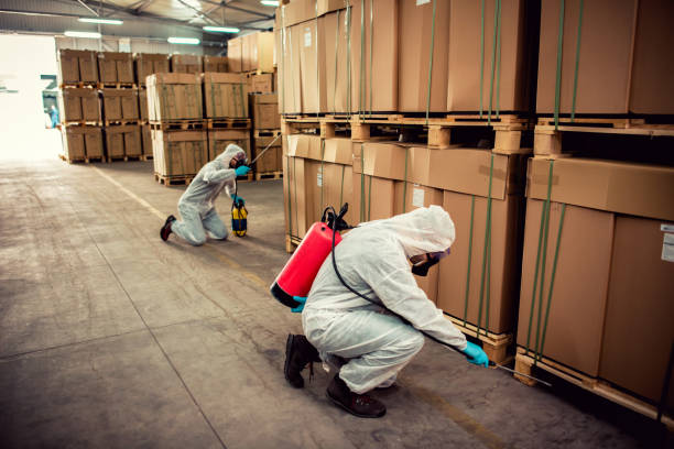 Trusted Monona, IA Pest Control Experts