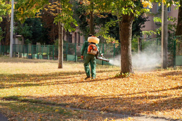 Best Exterminator Services  in Monona, IA