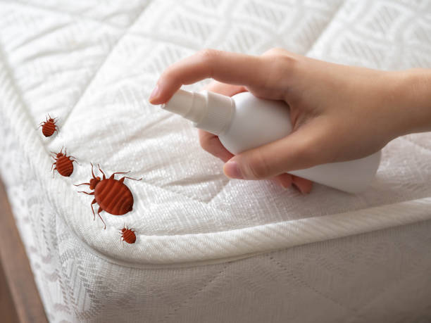 Best Local Pest Control Services  in Monona, IA