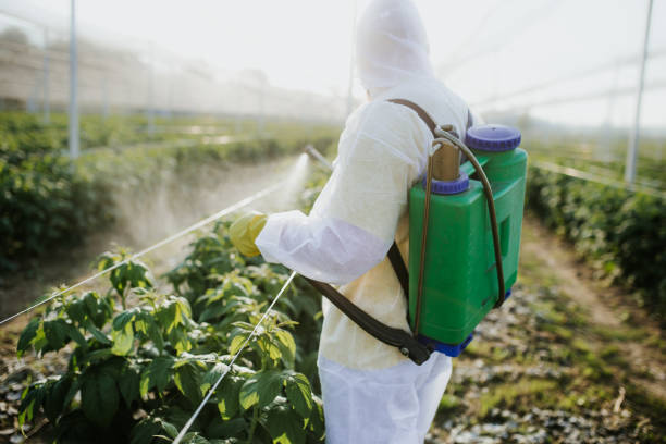 Best Cockroach Control Services  in Monona, IA